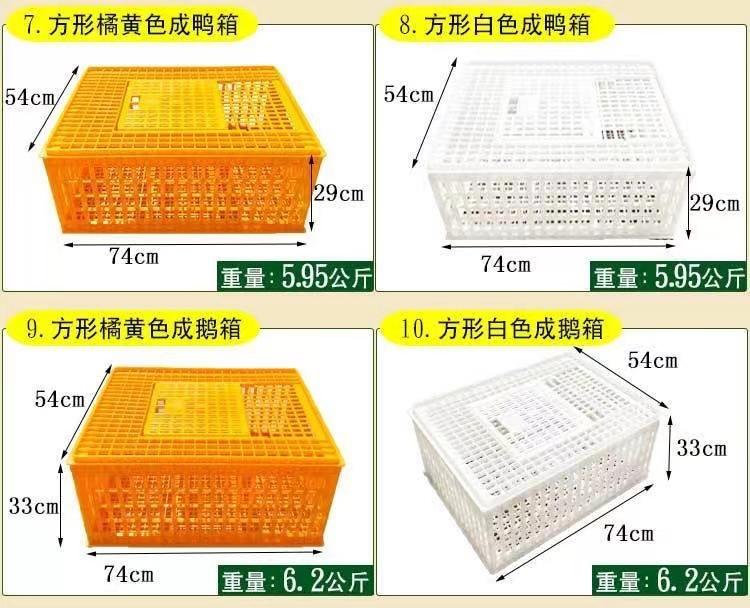 微信图片_20241113160126