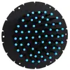Peine Elástico de Goma Multiespecificación Simple al por Mayor Lindo Peine Macarrón Masajeador de Cabello Suave Peine de Peluquería Suministro Directo de Fábrica
