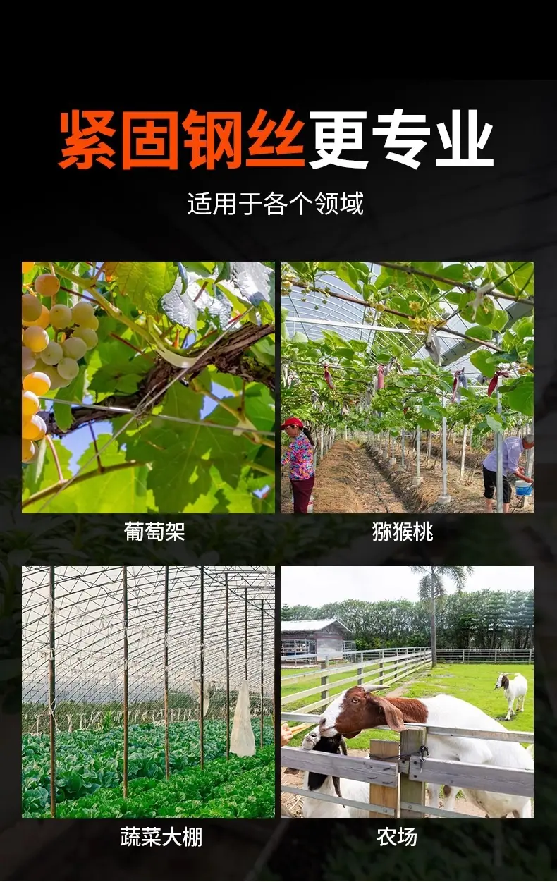 详情图片_07.jpg