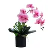 Flor Artificial Phalaenopsis Bonsai Casamento Decoração de Vestido para Casa Decoração com Flor Artificial Pingente Planta Verde Artificial Planta em Vaso Simulada