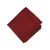 Lenço de Bolso para Terno Masculino Traje Formal do Noivo Estilo Coreano Terno 22 Lenço de Bolso Lenço Quadrado Pequeno Poliéster Seda Bolinhas Ponto Prateado