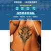 Calcomanías de Tatuaje de Jugo Herbal Estilo Europeo y Americano Serpiente Flor Media Manga Calcomanías de Tatuaje Semipermanente Impermeables y a Prueba de Sudor Dibujos Animados