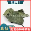 Material Medicinal Chinês Folhas de Eucommia Ulmoides em Estoque, Limpas e Livres de Impurezas, Grande Suprimento de Eucommia Ulmoides, Vários Materiais Medicinais para Dor nas Costas, Grande Quantidade e Preço Excelente