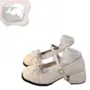 Zapatos de tacón alto de encaje con lazo estilo francés populares para mujer, nuevos zapatos de tacón grueso para otoño 2026 para combinar con faldas, zapatos Mary Jane