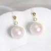 Estilo Nuevo Lujo Ligero Elegante Gama Alta Algodón Perlado Flor Perla Colgante Pendientes Gancho de Oreja Elegante Explosiones Moda Pendientes Versátiles