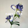 Tubo de cuero con flor de iris de Alicia, flor de simulación para boda, auditorio, decoración de bodas, flores falsas, decoración de muebles, arreglo paisajístico para ventanas.