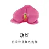 5cm Tecido de Seda Artificial Mini Cabeça de Flor Phalaenopsis Decoração de Casamento para Noivas Acessórios de Cabeça de Flor DIY Cabeça de Flor Feita à Mão