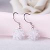 Pendientes de estilo coreano TikTok Quick Hand, nuevos y elegantes pendientes de plata con flores de hielo para mujer, con joyas de cristal floral.