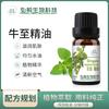 Aceite esencial de orégano unilateral para punto transfronterizo 10 ml Aceite esencial importado de Hungría Aromaterapia Belleza Masaje SAP Aceite esencial