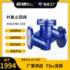 Válvula de Retenção Revestida com Flúor H41F46-10C Válvula de Retenção com Flange de Aço Fundido Válvula Unidirecional Ajustável Válvula para Tubulação Química Corrosiva