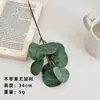 Estilo Ins Pequeno Fresco Simulação Eucalipto Folha de Dinheiro Ramo Folha de Eucalipto Simulação Planta Verde Flor Artificial Decoração Decoração