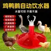 Tigela Grande para Beber para Criação, Bebedouro Automático para Patinhos e Gansos, Bebedouro de Linha de Água, Bebedouro para Pombos, Equipamento de Alimentação de Água