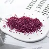 Fragmentos para Uñas de Hot-selling Transfronterizo Múltiples Capas Galvanizados DIY Gotas de Cristal Pegamento Relleno de Grava Pintura de Porcelana Cristalina Arenas Arena Plateada