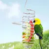 Alimentador de loro Acero inoxidable Gancho a prueba de explosiones Resorte Cesta de comida y fruta Alimentador de verduras Suministros para aves Gadget práctico