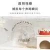 Roda de hamster silenciosa com suporte, rolo transparente de piso, adequada para hamsters sírios, design suspenso que não prende as patas, esteira grande