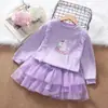 Conjunto de Dos Piezas para Niñas Otoño 2026: Sudadera de Manga Larga con Encaje de Perlas y Dibujo de Pony + Falda de Malla tipo Pastel