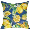 Funda de almohada más vendida de Amazon con estampados de flamenco y loro, Funda de almohada serie animal y floral, Funda de almohada de lino