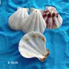 Concha de Caracol Natural Perforada con Agujero Concha de Caracol Colgante Hecho a Mano para Pendientes Collares Carrillón de Viento Material para Manualidades DIY