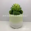 Maceteros de Cerámica Sencillos con Pintura Degradada para Suculentas Macetas Mini de Escritorio para Suculentas Fabricante Mayorista Plantas y Flores Verdes Transpirables