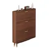 Novo Armário de Sapatos Chinês Ultra Fino com Porta Articulada para Entrada de Casa Interior Novo Estilo 2026 Item Quente Gabinete de Hall de Entrada Sapateira Integrada