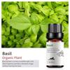 Exportación Transfronteriza Aceite Esencial Individual Fragancia Aromaterapia Masaje Aceite Esencial Sándalo Difusor Mayoreo Muestra de 10 ml