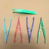Pinças de PS 11cm*2,3cm Pinças de Plástico Atacado Podem Mudar de Cor