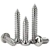 Tornillos Autorroscantes Phillips Cabeza de Lenteja de Acero Inoxidable 304 Clavos Autorroscantes Cabeza de Lenteja PA Tornillos de Rosca para Madera M1M2M3M4M5-M8