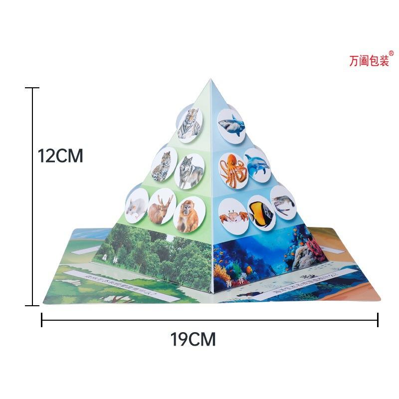 儿童玩具科学实验食物链金字塔手工diy科技小制作生物纸盒批发