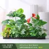 Paisagismo com Plantas Verdes Simulação Floreira Divisória de Piso Arte Floral de Chão Paisagem de Plantas Combinação de Floreira Flor Artificial em Vaso Bonsai Decoração