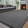 Alfombrillas de Piso de Terciopelo Coral Transfronterizas, Alfombras Absorbentes para Sala de Estar del Hogar, Alfombrillas Antideslizantes Resistentes a las Manchas y de Fácil Cuidado, Alfombrillas de Área Grande para Todo el Piso