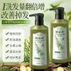 Pacote familiar de 500ml de grande capacidade do shampoo Qimaidang antiqueda com extratos de ervas de folha de cipreste e gengibre para controle de oleosidade e volume