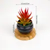 Simulación Nórdica Simple Creativa Mini Suculenta Planta en Maceta Pequeña Adornos Decoraciones para Escritorio de Hogar Oficina