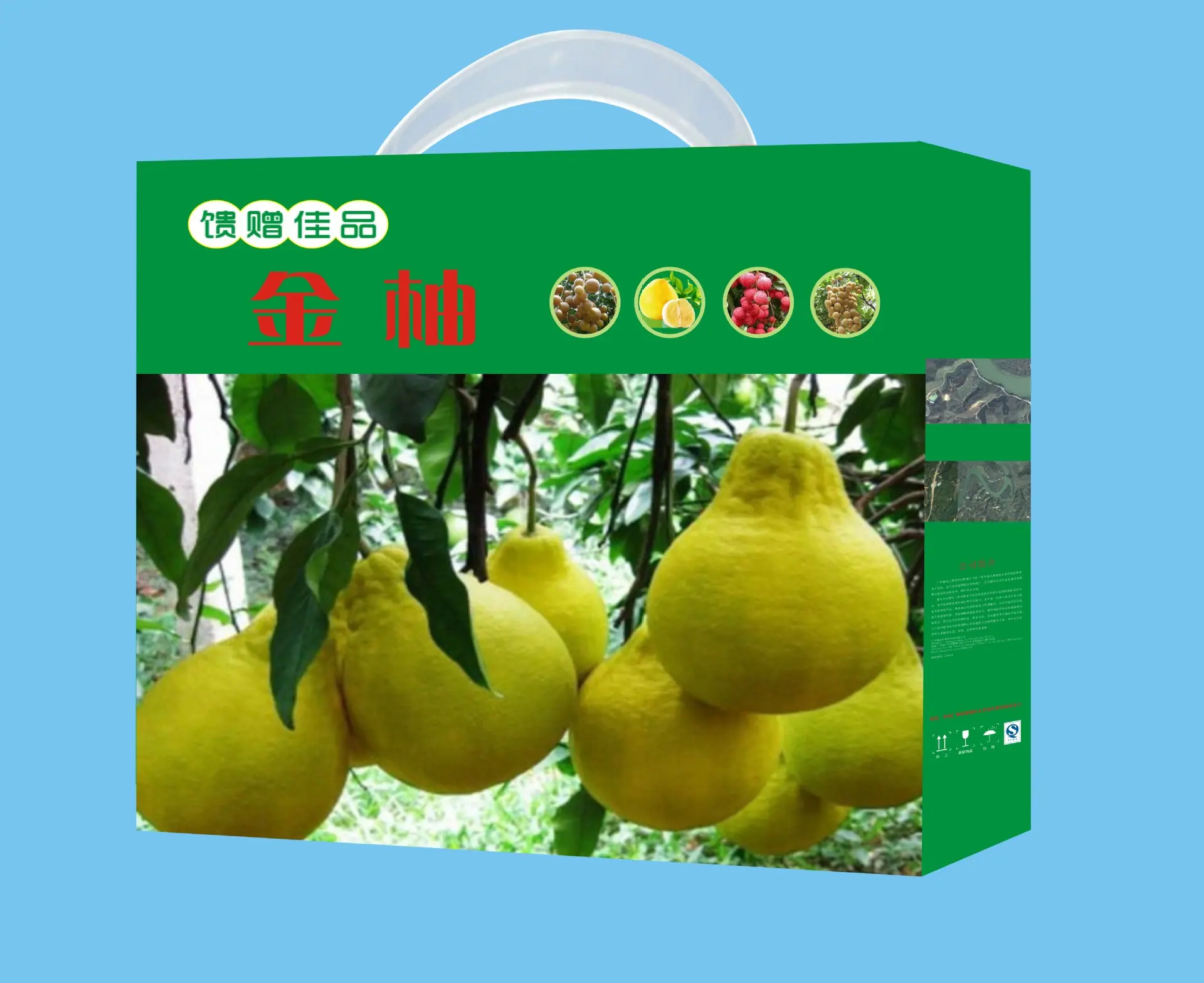 柚子盒