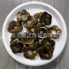 Accesorios de Colgante para Bolso, Pendientes, Collar DIY de Flor de Cinco Pétalos, Perforación Media, Acrílico Retro Transfronterizo Europeo y Americano, 26 mm