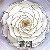 Rosa Eterna Gigante de 10-12 cm Rosa Preservada Flor Eterna Navidad Tanabata Día de San Valentín Regalo de Cumpleaños