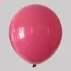 Globos de Látex Haorun Transfronterizos de 10 Pulgadas, 1.5g, Color Vintage para Decoración de Cumpleaños, Fiesta de Evento, Globos al por Mayor