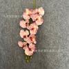 Impressão 3D Simulação 9 cabeças 11 cabeças phalaenopsis fábrica atacado decoração de casa decoração de casamento flor comércio exterior flor artificial