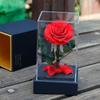 Flor Eterna de Acrílico O Pequeno Príncipe Produto Acabado Pode Ser Enviado no Dia dos Namorados 520 como um Presente de Luxo para Sua Namorada