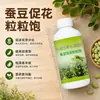 Gránulos Promotores de Floración de Habas Fijación Completa y Vigorosa de Vainas Agente de Crecimiento Rápido y Cultivo de Plántulas de Habas Líquido para Enraizamiento y Plántulas Fuertes de Habas Fertilizante de Hoja Cielo de Largo Avance