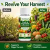 La Solución Nutritiva para Plantas de Frutas y Verduras Kineshinex es Adecuada para Jardines Caseros, Invernaderos, Plantas en Macetas en Balcones y Cultivo de Frutas y Verduras