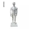 Fengfan 40cm Modelo de cuerpo humano de puntos de acupuntura de medicina china mapa de los doce meridianos modelo de puntos de acupuntura del cuerpo humano de cobre piel humana pequeña