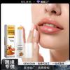 Bálsamo Labial de Cúrcuma EELHOE Hidratante y Humectante para Labios, Aclarador de Líneas Labiales, Piel Muerta, Hidratante y Aclarante Uniforme, Protección Labial