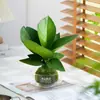 Cuenco de Abundancia Planta Verde Decoración en Maceta para Interior Oficina, Sala de Estar, Mesa de Té, Fácil de Mantener Flor de Todas las Estaciones, Adorno de Escritorio, Bonsái