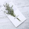 Cartão de felicitações com gipsofila seca atacado para enviar cartão de namorado buquê de flores arte cartão de bênção caixa de presente de aniversário