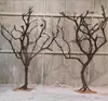 Ramas de árbol secas para paisajismo, árboles de los deseos, árboles muertos, decoraciones de patios interiores, ramas de árbol, troncos y árboles decorativos.