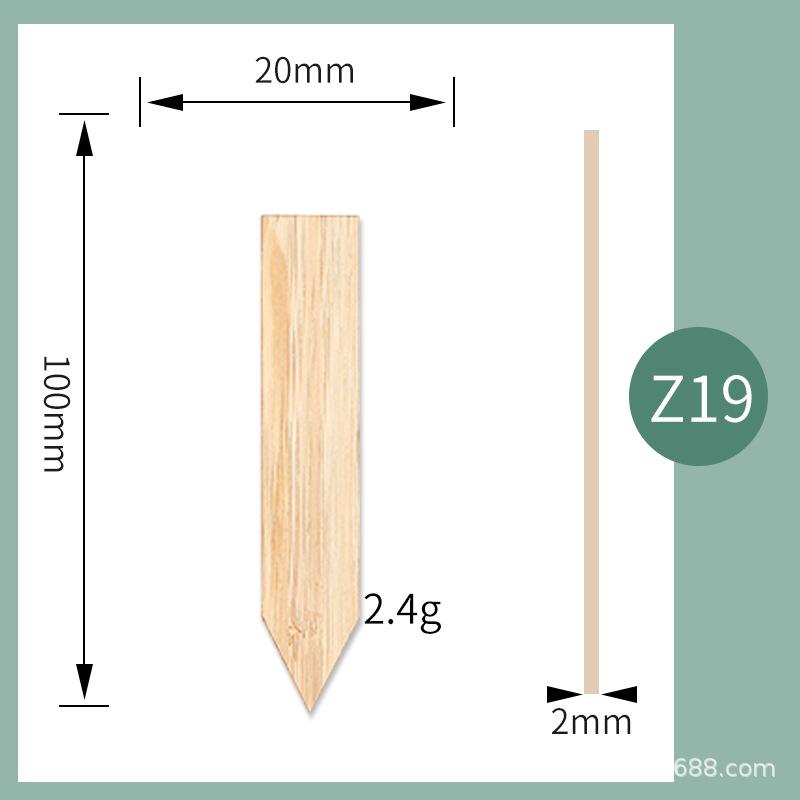 Z19.jpg