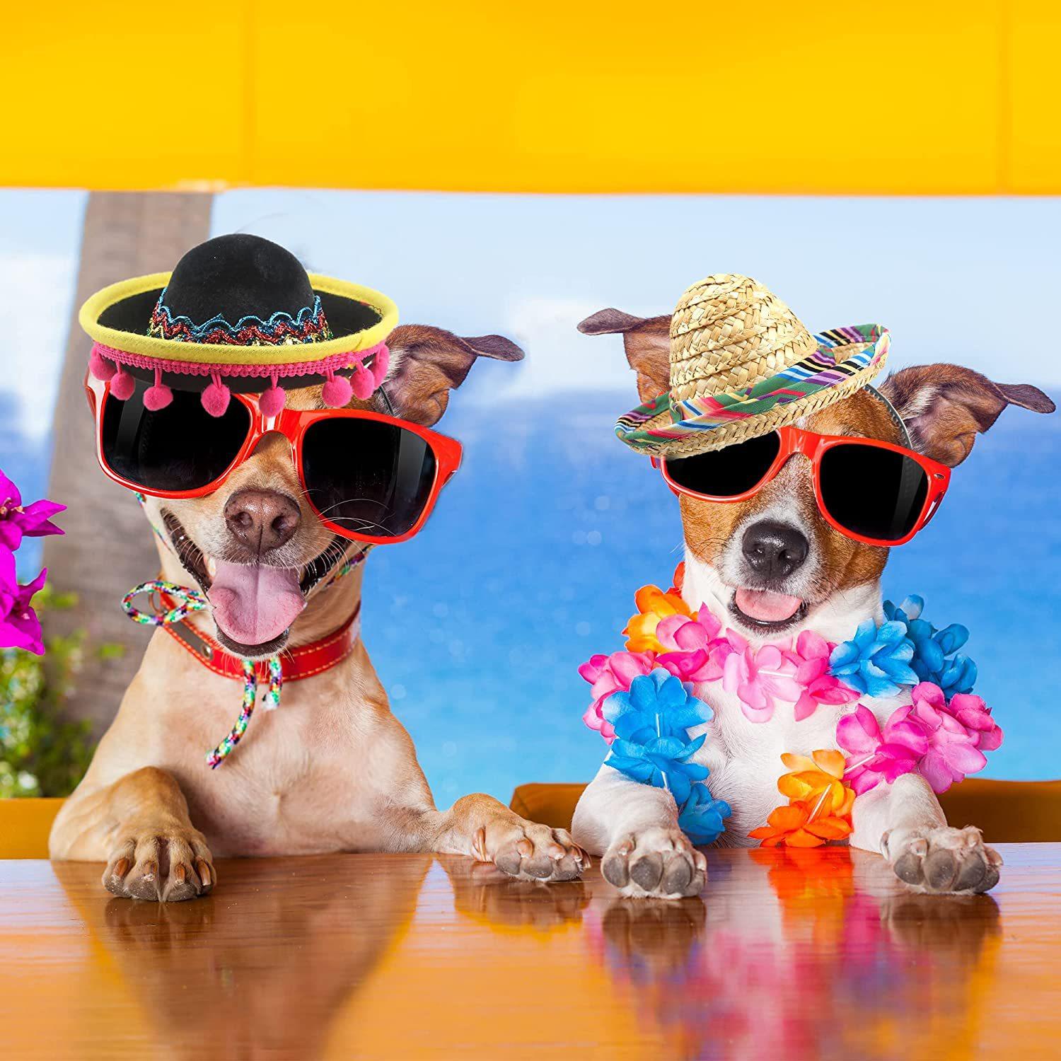 81UVpg1IL0L._AC_UL1500_