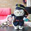 Explosiones Transfronterizas Perro Navidad Halloween Vestido Pirata Policía De Pie Vestido Transformado Divertido Vestido para Perro Venta al por Mayor