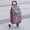 Carrito de Compras de Acero Inoxidable, Carrito Trepador de Escaleras, Carrito Grande Plegable para el Hogar para Personas Mayores, Carrito de Arrastre Manual