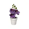 Mini 3 orquídeas Phalaenopsis artificiais em vasos aveludados, fornecimento de exportação direta, flores artificiais de toque realista, bonsai, adereços para fotografia